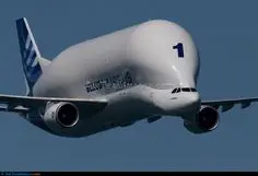 Airbus Beluga In Flight