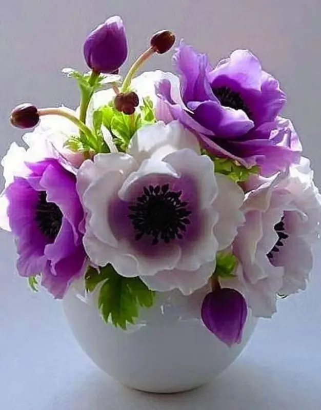 Anemone Bouquet In Vase