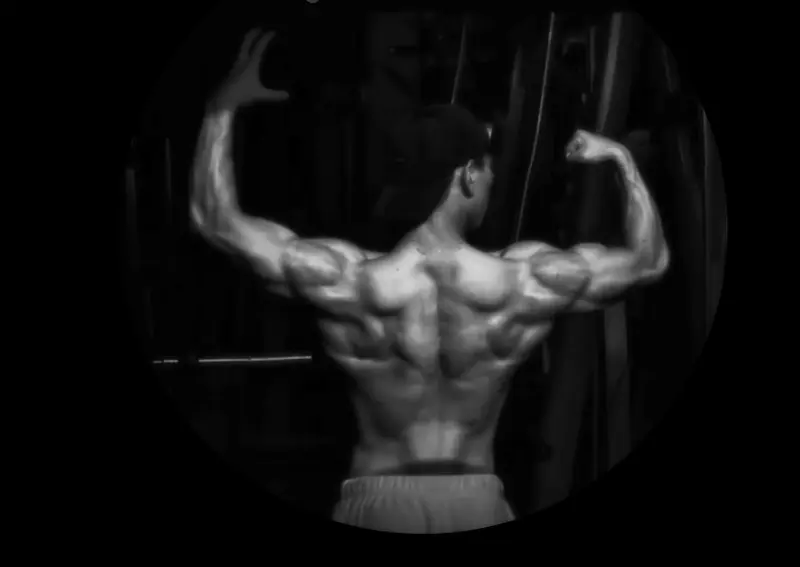 Back Muscular Flexing Display