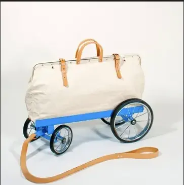 Bag On A Blue Cart