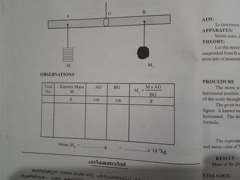 Beam Balance Physics Diagram