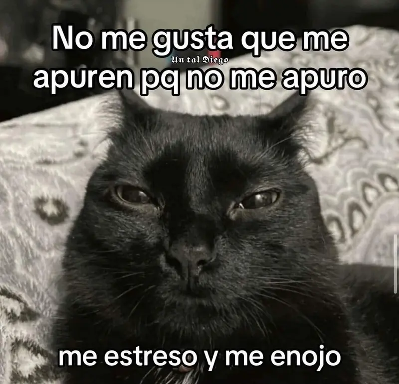 Black Cat With Text Overlay