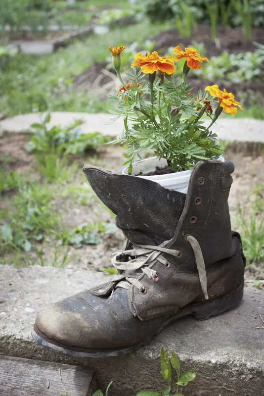 Boot Planter With Orange Flowers