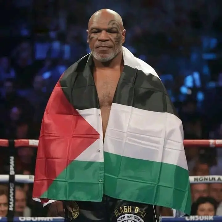 Boxer With Palestinian Flag