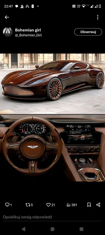 Brown Luxury Sports Car