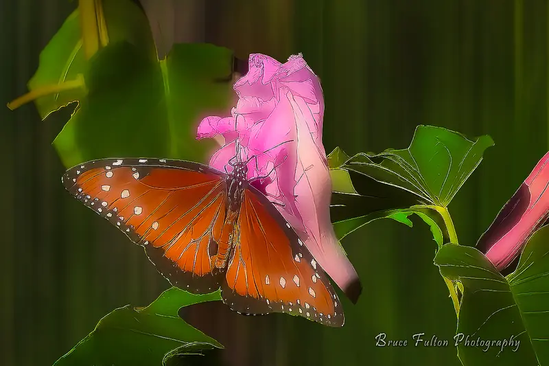 Butterfly Resting on Pink Flower: Real or AI?