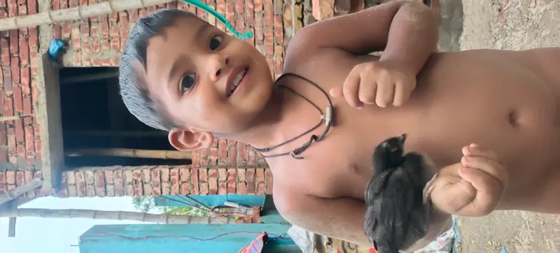 Child Holding Chick Outdoors