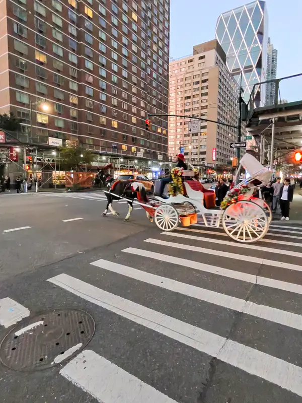 City Horse Drawn Carriage