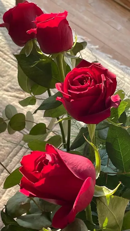 Close-up Of Red Roses