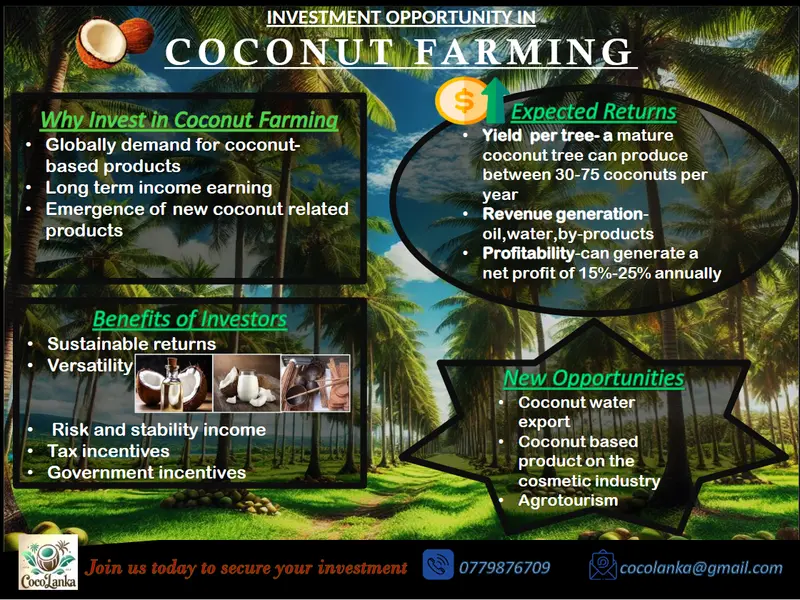 Coconut Farming Investment Flyer