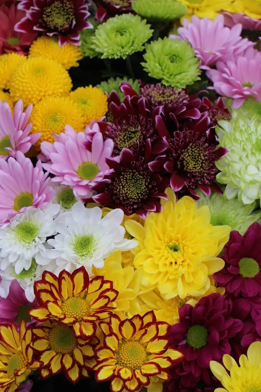 Colorful Flowers Floral Arrangement