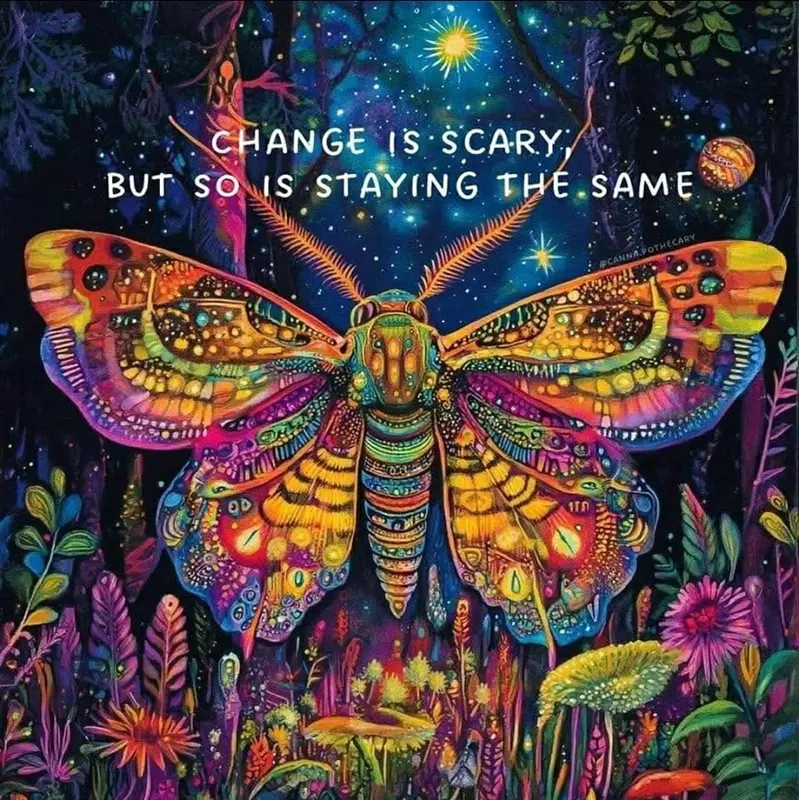 Colorful Moth In Starry Night