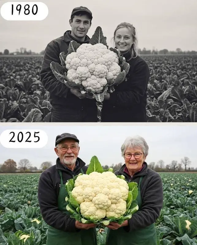 Couples Holding Large Cauliflowers
