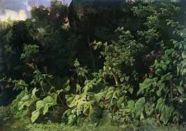 Dense Forest Foliage View