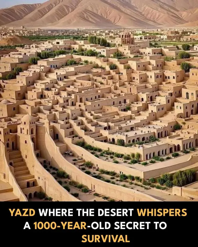 Desert Cityscape, Aerial View