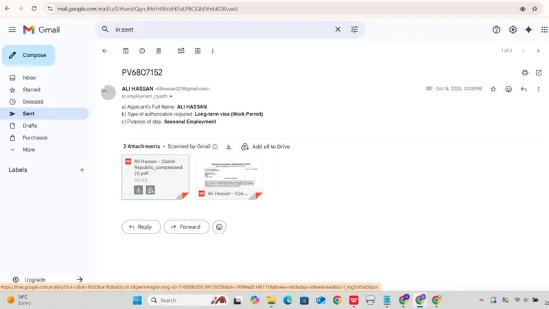 Email Regarding Ali Hassan Visa