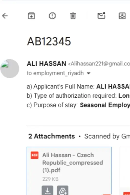 Email Showing Visa Application Details