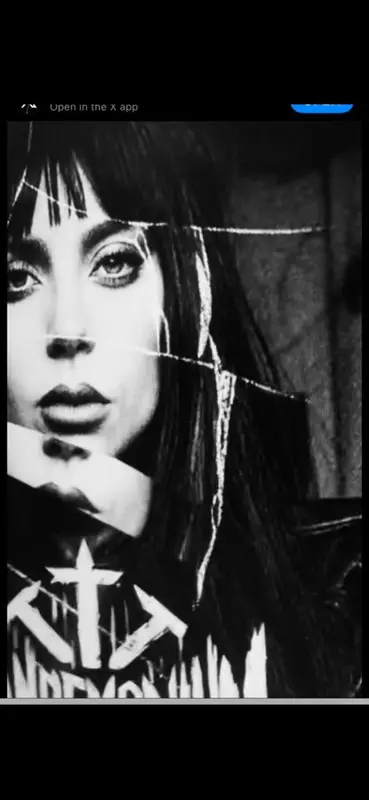 Fragmented Black And White Collage