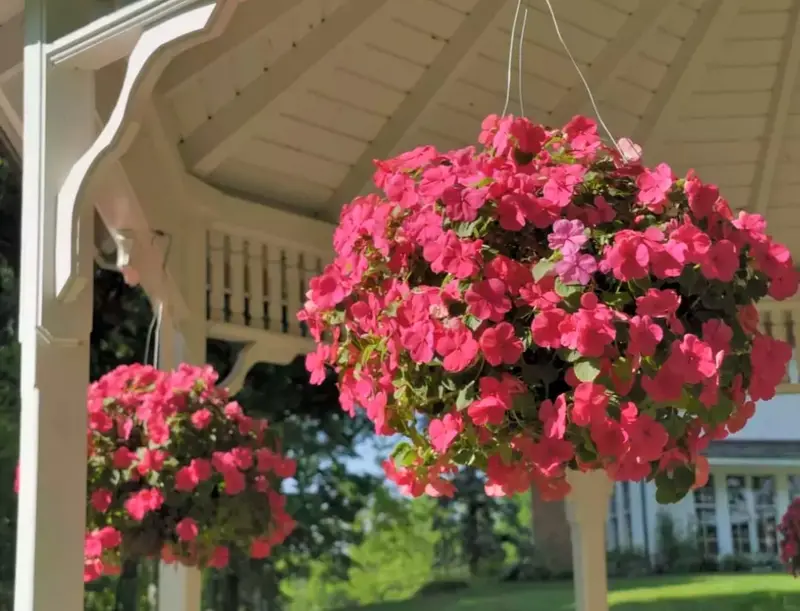 Hanging Pink Flowers Gazebo