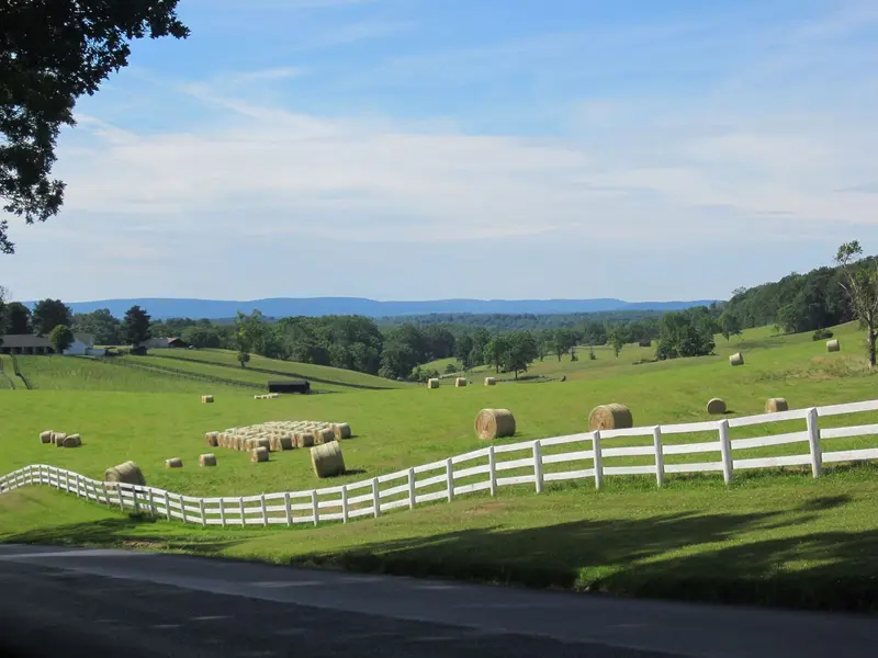 Hay Bales In Scenic Field