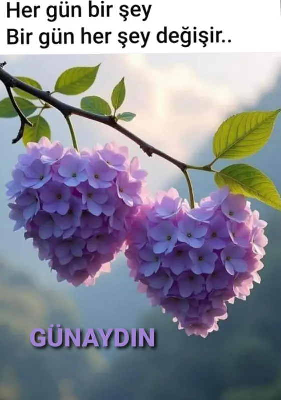 Heart-shaped Purple Flowers