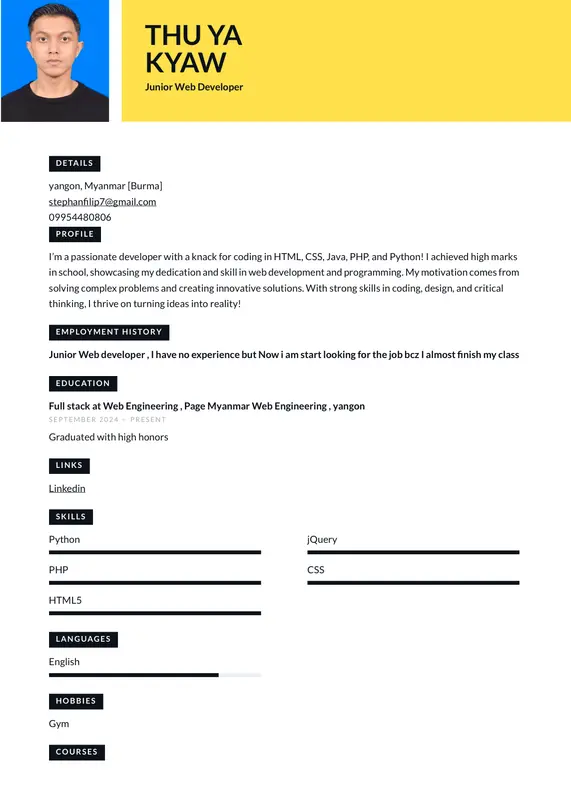 Junior Developer Resume Template