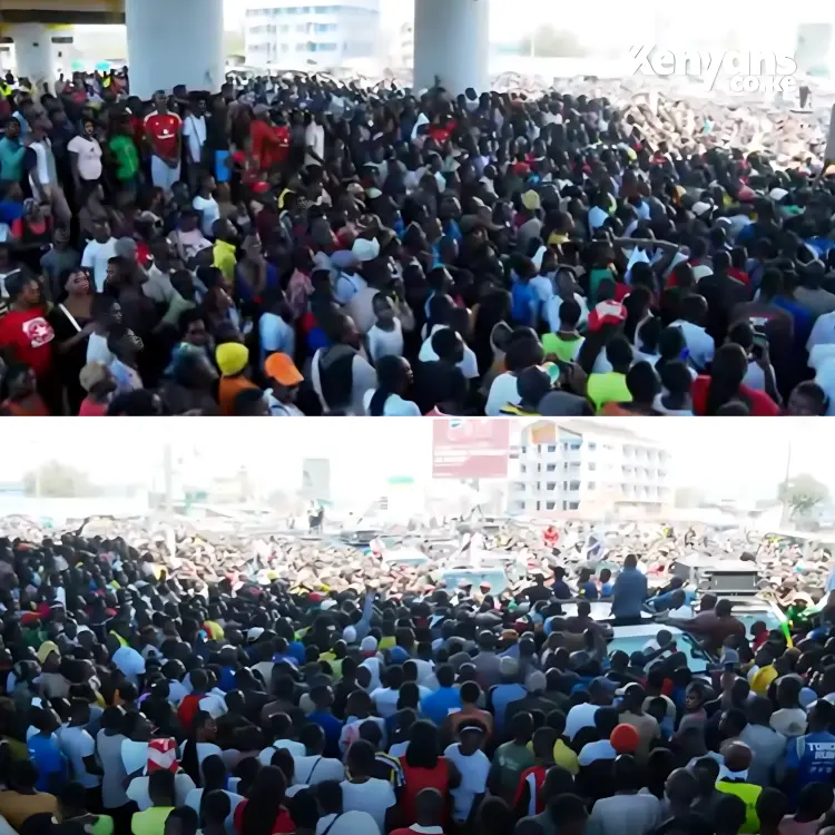 Large Public Crowd Gathering