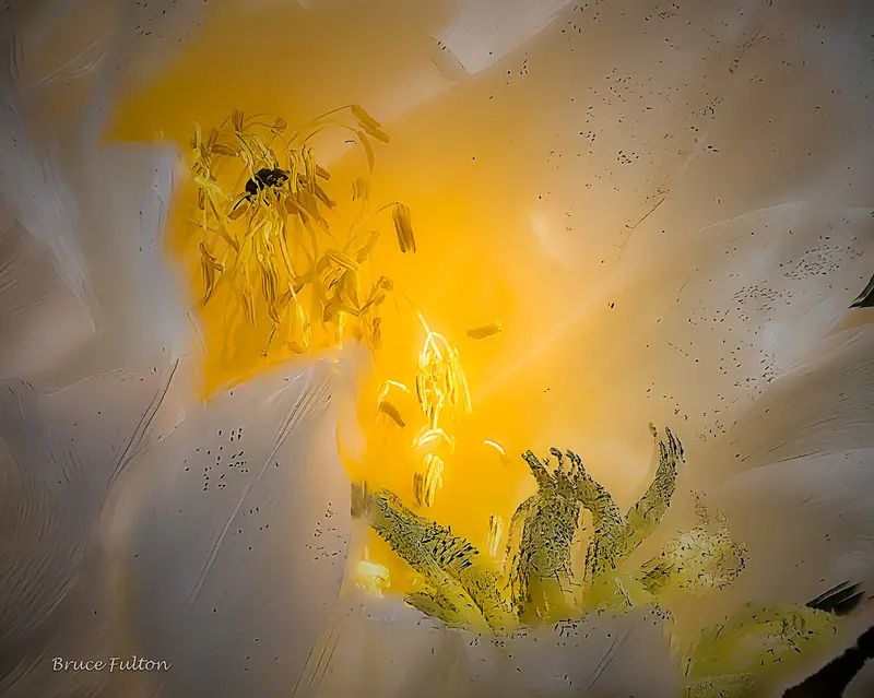 Likely Not AI-Generated: Close Up View of Flower Petals