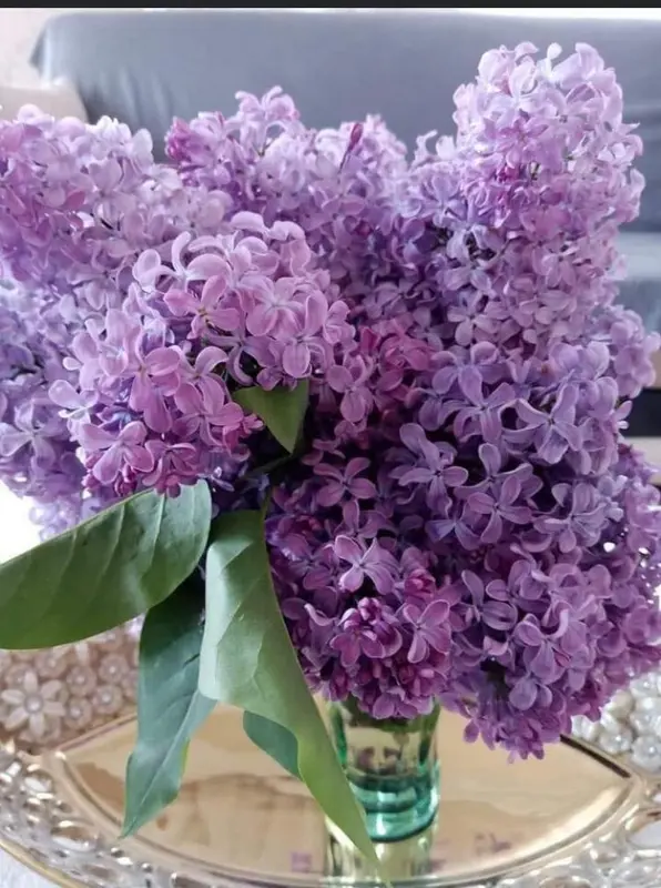 Lilacs In Glass Vase