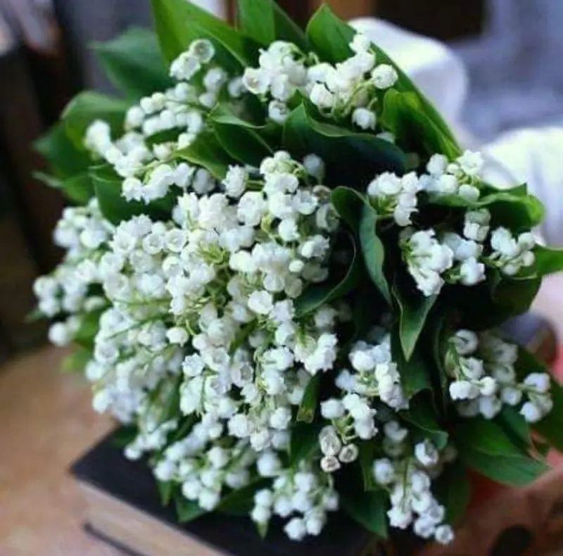 Lily Of The Valley Bouquet