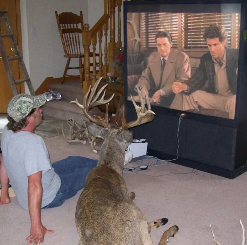 Man,deer Watching TV Together