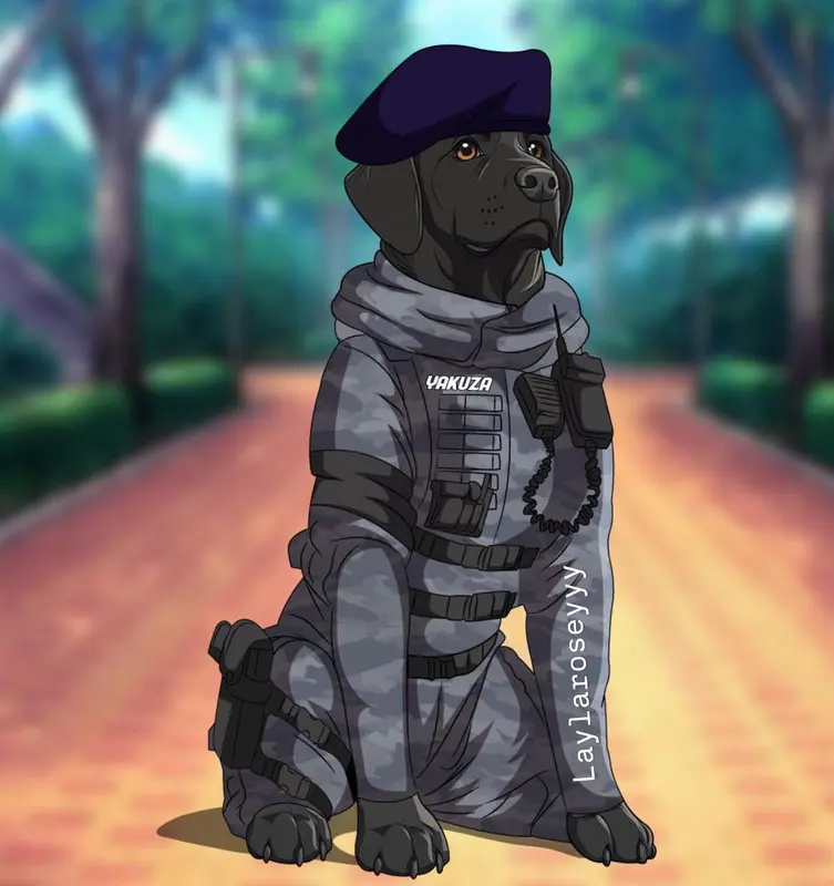 Military Dog In Uniform