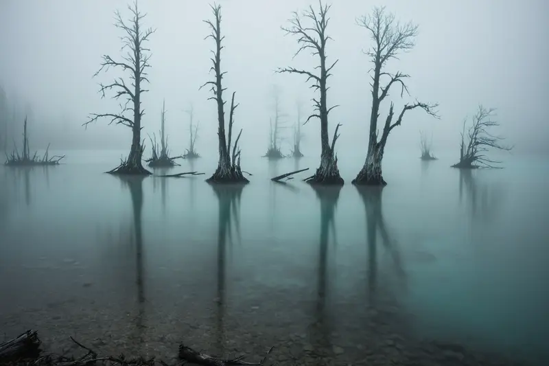 Misty Lake With Bare Trees