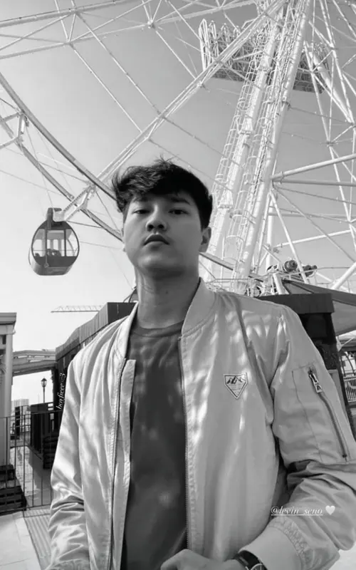Monochrome Ferris Wheel Portrait