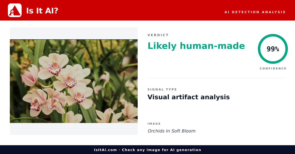 Orchids In Soft Bloom - Is It AI?
