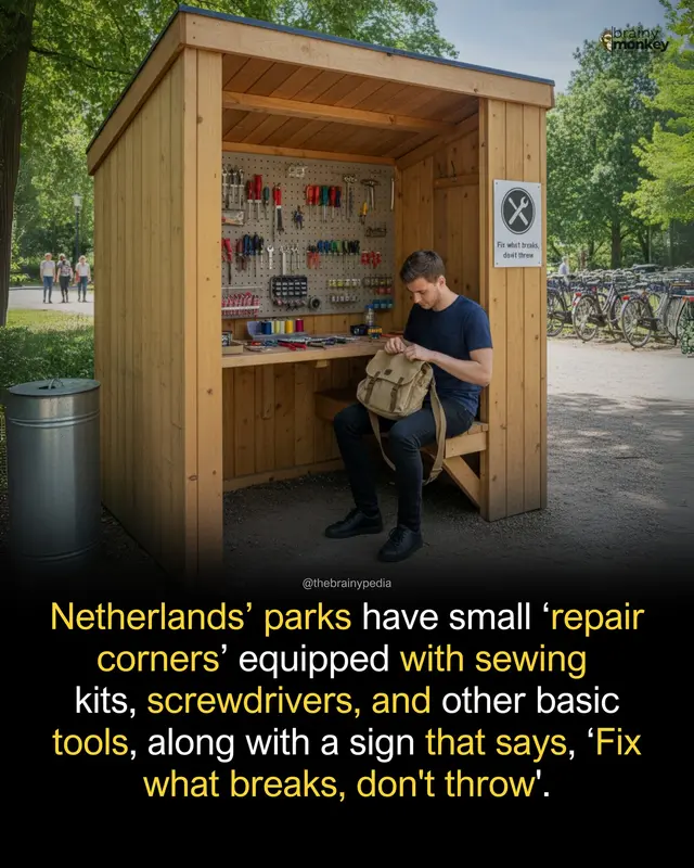 Park Repair Station In Netherlands