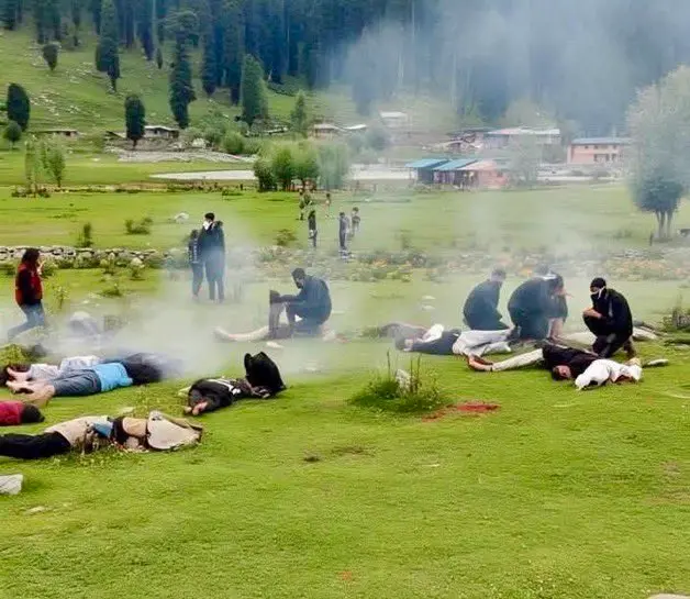 People Lying On Grassy Field