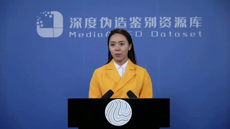 Person At Podium Press Event