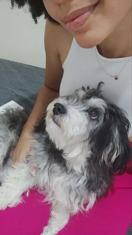 Person Petting Fluffy Dog