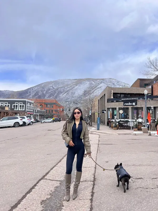 Person Walking Dog, Snowy Street