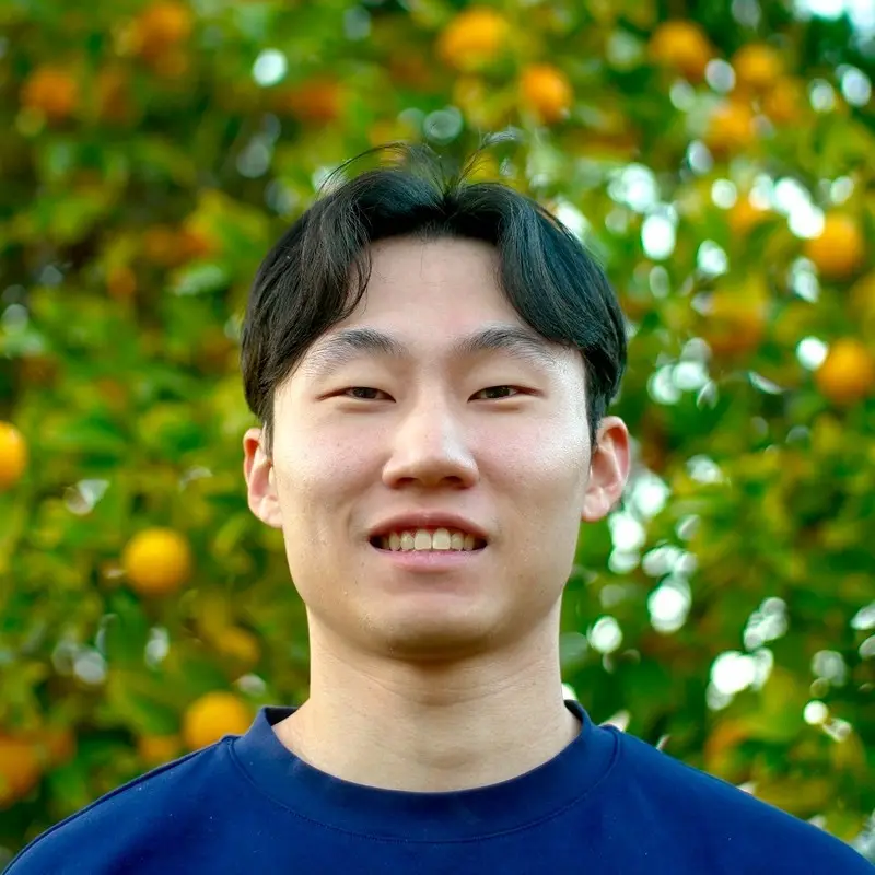 Person With Orange Tree Background
