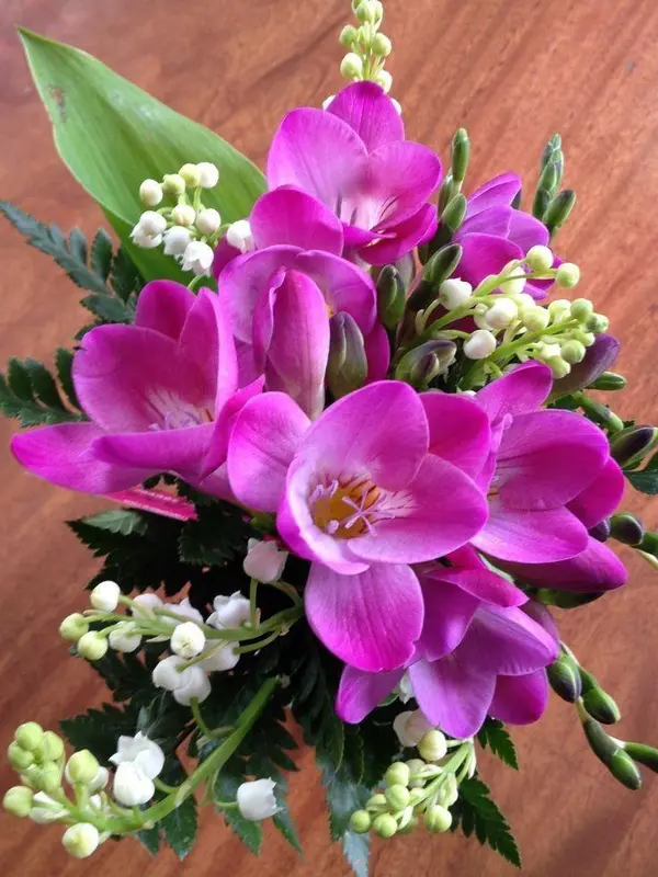 Pink Freesias And White Blooms