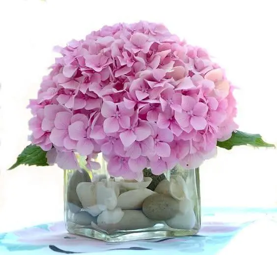 Pink Hydrangea Floral Arrangement
