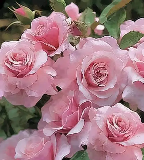 Pink Roses AI Artwork