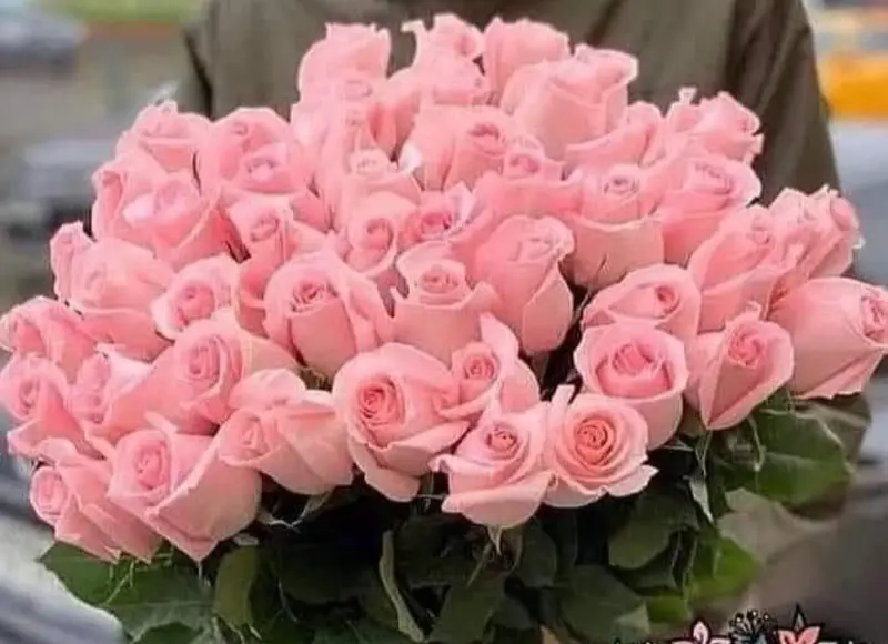 Pink Roses Bouquet Image