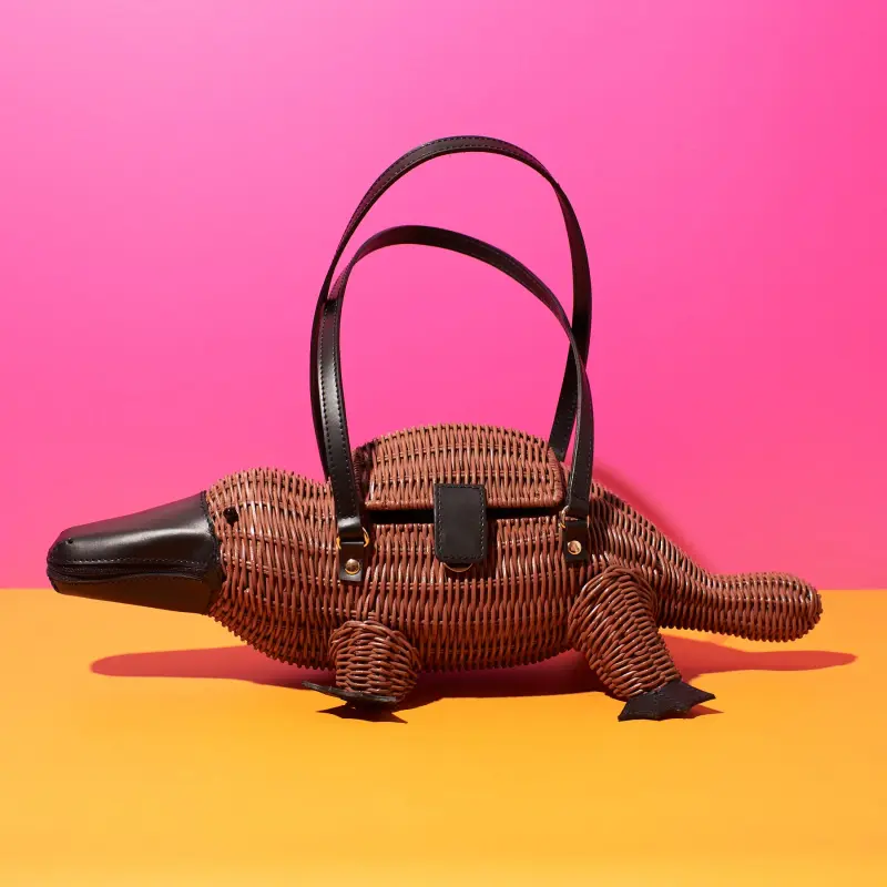 Platypus Handbag On Colorful Background