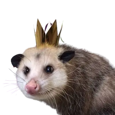 Possum With Golden Crown