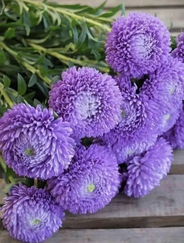Purple Flowers Bouquet Arrangement