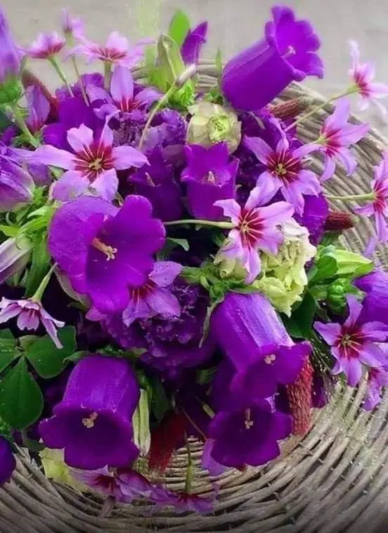 Purple Flowers In Woven Basket
