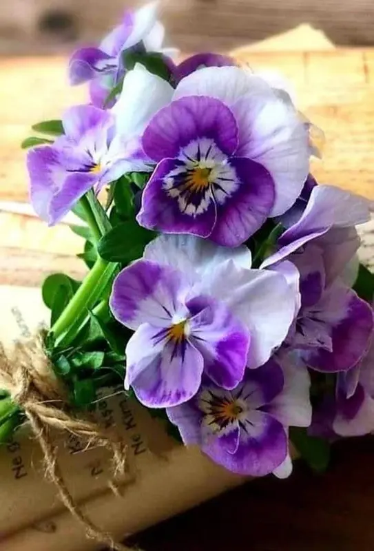 Purple Pansies Bouquet Close-up